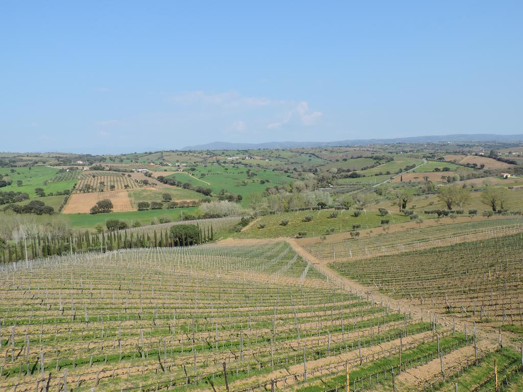 Poggio Lungo Konuk evi Grosseto Dış mekan fotoğraf